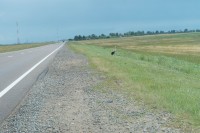 DSC02563.JPG