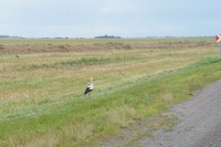 DSC02565.JPG