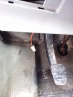 IMG_20130313_120559.jpg