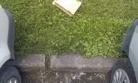 IMAG0181.jpg
