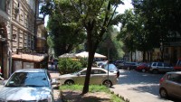 DSC06876.JPG