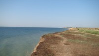 DSC06961.JPG