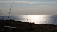DSC07009.JPG