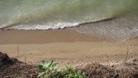 DSC06987.JPG