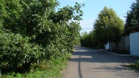 DSC07040.JPG