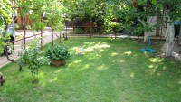 DSC07056.JPG