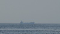 DSC06833.JPG