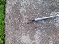 IMG_20130901_074946.jpg