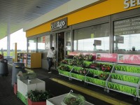 IMG_3918m.jpg