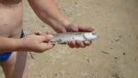 DSC01091.JPG