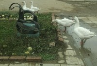 IMG_20130929_112536.jpg