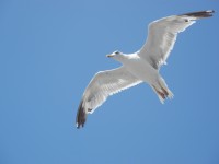 DSCN9792.JPG