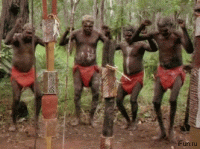35056_900.gif