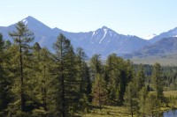 DSC_2709.JPG