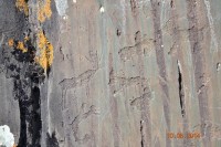 DSC_0374.JPG