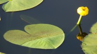 DSC08014.JPG