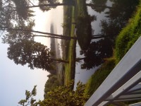 IMG_20150716_055806.jpg