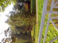 IMG_20150716_055832.jpg