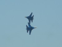 RSCN7492.JPG