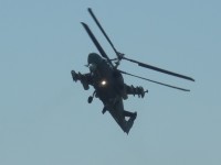 RSCN7507.JPG