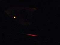 IMG_0020.JPG